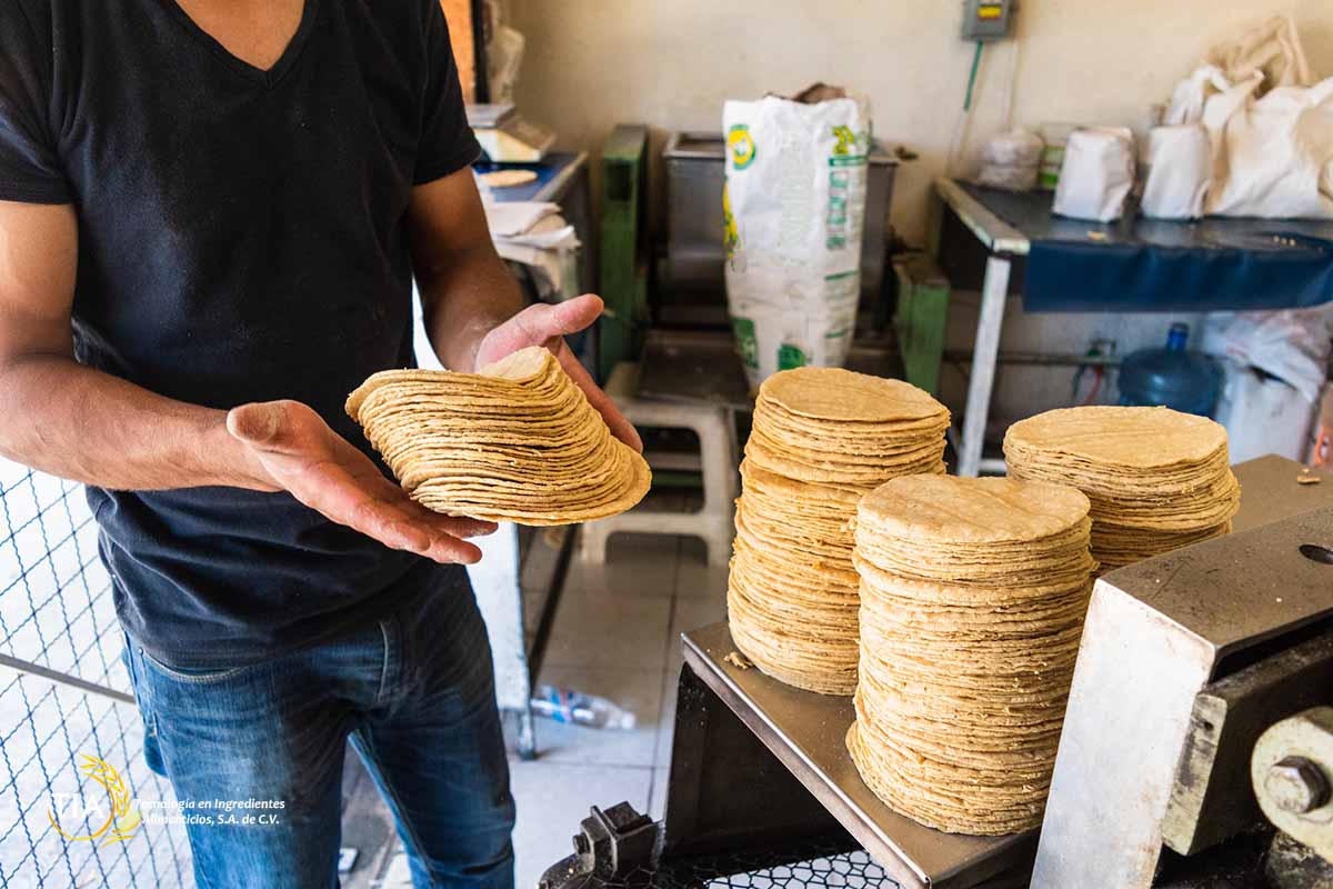 Imágen qué necesitas para tener tu tortilleria